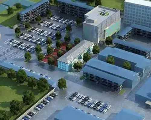 高龄女性在格鲁吉亚做试管婴儿能成功吗?,正规供卵试管