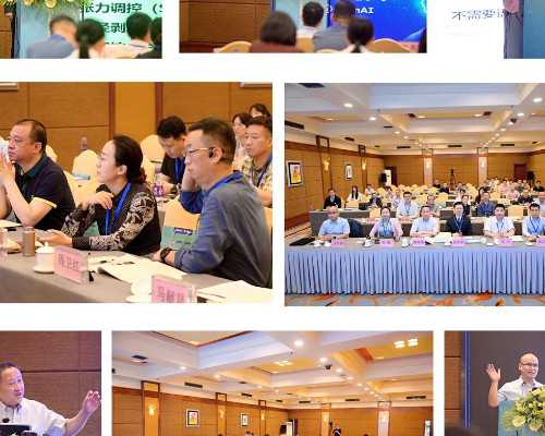 席琳-迪翁曝光双胞胎爱子 大晒“育儿经”，借卵代生代怀